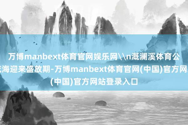 万博manbext体育官网娱乐网\n溉澜溪体育公园的金色花海迎来盛放期-万博manbext体育官网(中国)官方网站登录入口