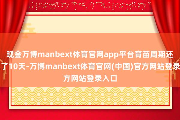 现金万博manbext体育官网app平台育苗周期还裁汰了10天-万博manbext体育官网(中国)官方网站登录入口