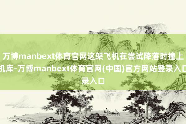 万博manbext体育官网这架飞机在尝试降落时撞上机库-万博manbext体育官网(中国)官方网站登录入口
