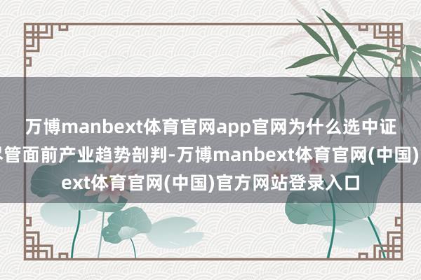 万博manbext体育官网app官网为什么选中证芯片产业指数？尽管面前产业趋势剖判-万博manbext体育官网(中国)官方网站登录入口