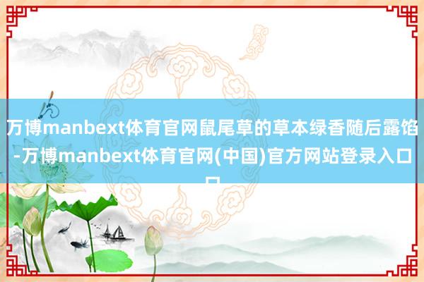 万博manbext体育官网鼠尾草的草本绿香随后露馅-万博manbext体育官网(中国)官方网站登录入口